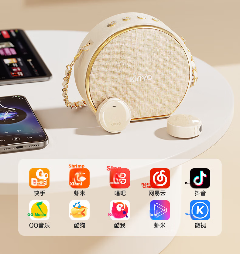 KINYO 30W Wireless Mini Bee Amplifier Teacher Microphone Loudspeaker M20 29