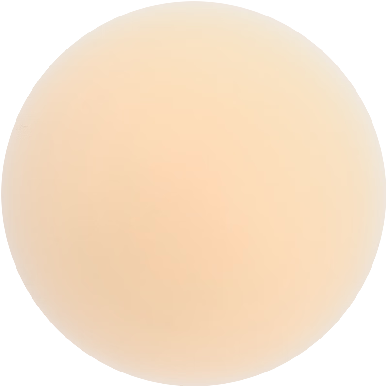 VCN Pink Skin Nipple Covers - 5 Pairs [03# Natural Skin] Invisible Bra Pads for Wedding Dresses, Summer Anti-Pointing for Small Bust