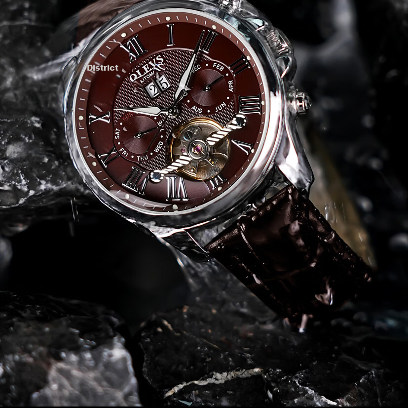 OLEVS Swiss Certified Men's Fully Automatic Mechanical Watch, Men's Luxury Timepiece, 2026 New Skeleton Design Men's Watch, Top Ten Brand 19