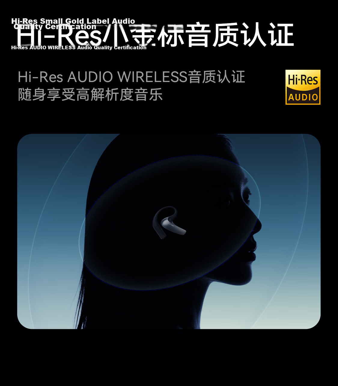 IFLYTEK AI Translation Earbuds - Conference Translation Headset, Real-time Simultaneous Interpretation Device, Portable for Travel, Bluetooth Noise Cancelling 18