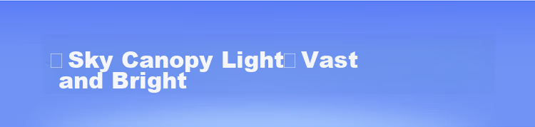 BULL Ceiling Light Living Room Main Light Full Spectrum Eye Protection Bedroom Lamp with Installation Package XD10 2