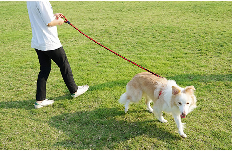 派乐特 狗链狗绳小型犬中型犬大型犬宠物狗狗牵引绳遛狗绳子带胸背带