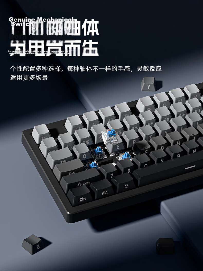 EWEADN DK87 Mechanical Keyboard Wireless Bluetooth Tri-Mode Wired Desktop Laptop Gaming Office Hot-Swappable Gradient Side-Printed Dust-Resistant 5