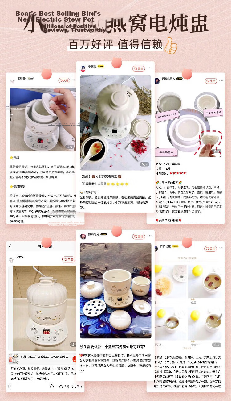 Bear Bird's Nest Stew Pot, Electric Slow Cooker, Ceramic Mini Soup Pot with Double-Layer Lid And Water Lock, 0.6L Capacity, Model DDZ-B06R1 1