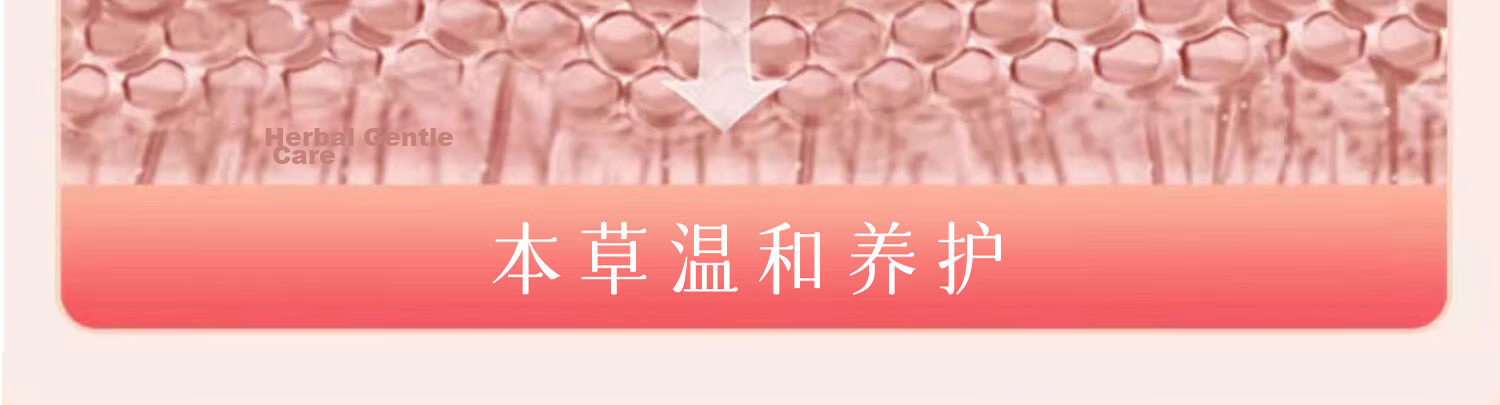 Fuyan Jie Snow Lotus Herbal Intimate Care Pads Portable Travel Sanitary Napkin Care 2 Pads * 3 Packs 8