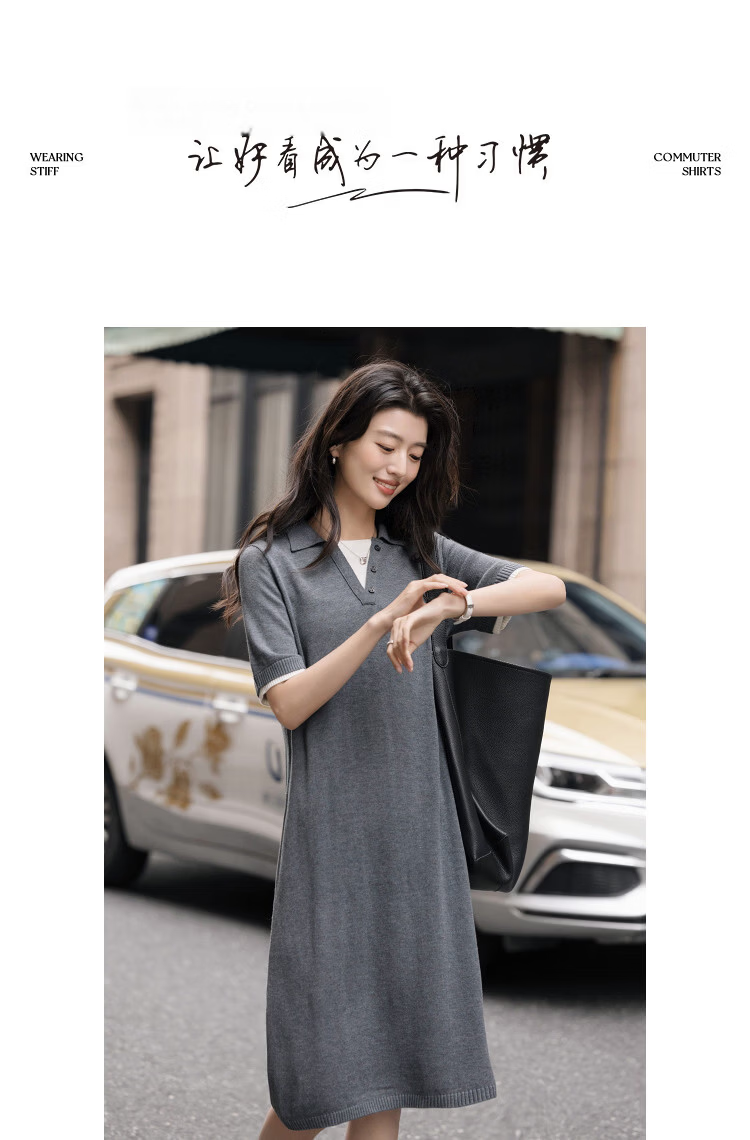 Demana [Mulberry Silk and Wool Blend] Spring Smart V-Neck Color-Block Short Sleeve Slim Loose Dress for Women 10