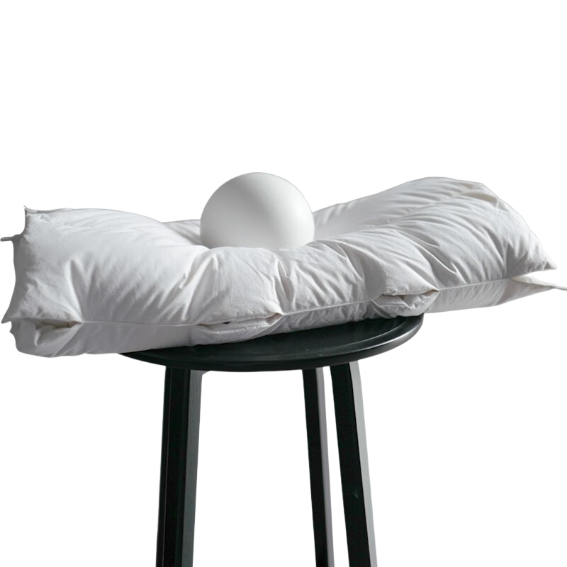 SIDANDA Cervical Pillow German Red Dot Award Antibacterial 95% Goose Down Elevated Pillow 48x74cm