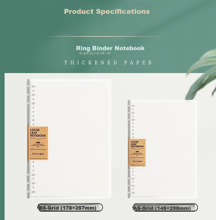 Wengu B5 Notebook Handwritten Loose-Leaf Book 40 Sheets Journal Diary for Middle School, High School, University Students, Detachable Office Business Meeting Supplies SK030-1 (B5) Lined Version 14