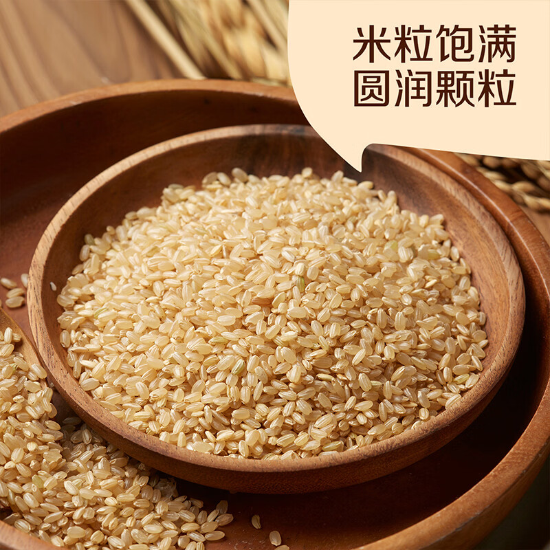 初萃中粮 糙米2斤 五谷杂粮 大米伴侣 粗粮主食 罐装