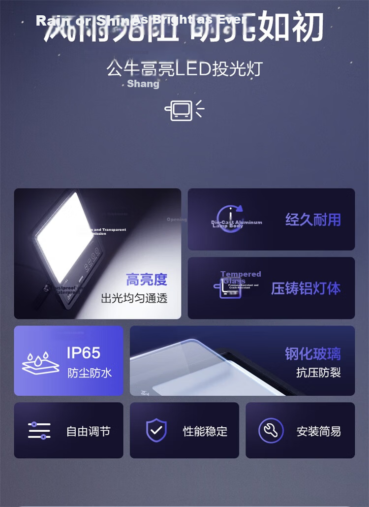 BULL LED Floodlight for Outdoor, Courtyard, Factory, Garden, Camping Light, IP65 Waterproof Rating, 100W-6500K White Light 2