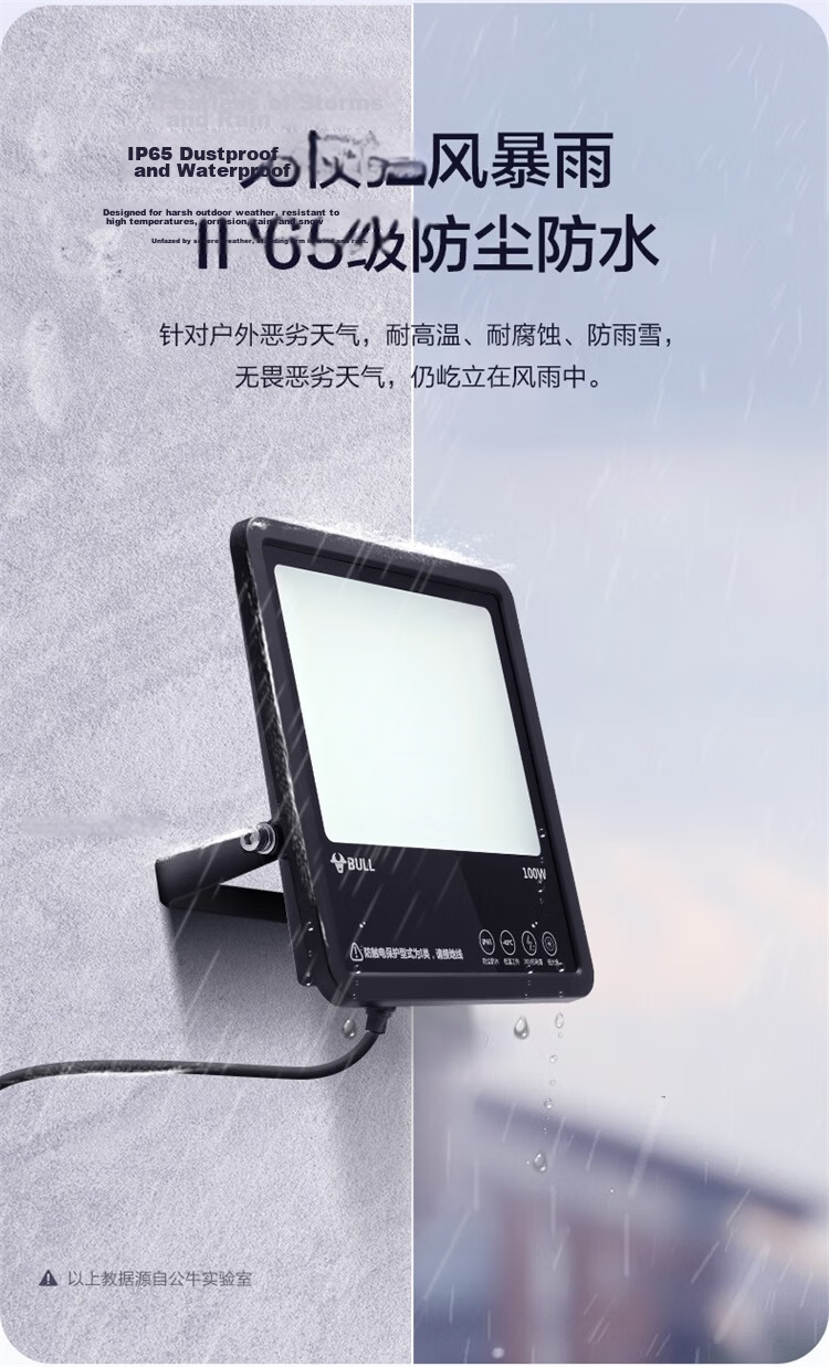 BULL LED Floodlight for Outdoor, Courtyard, Factory, Garden, Camping Light, IP65 Waterproof Rating, 100W-6500K White Light 8
