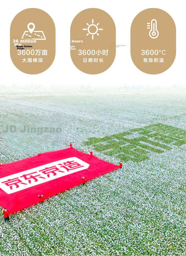 JD Original Cotton Comforter, 100% Xinjiang First-Grade Cotton Filling, Class A Autumn And Winter Quilt, 6.2 Jin, 2x2.3m 5