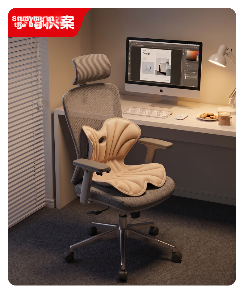 Beilizheng Lumbar Support Cushion, Back Pillow for Long Sitting, Ergonomic Office Chair, Integrated Back Support 9