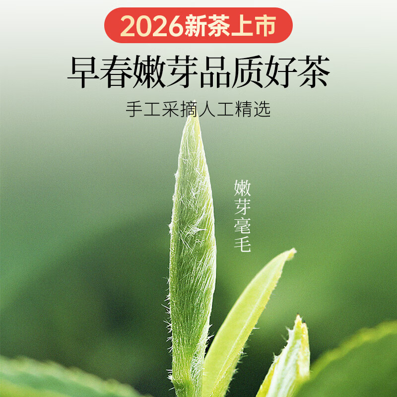 贡苑绿茶正宗龙井茶豆香250g 2026新茶明前浙江春嫩芽散装茶叶自己喝