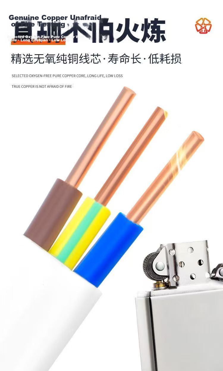 CHIGO Electric Water Heater Faucet Accessory 1m Extension Cable Plug and Play (Gift, Not Sold Separately) 3