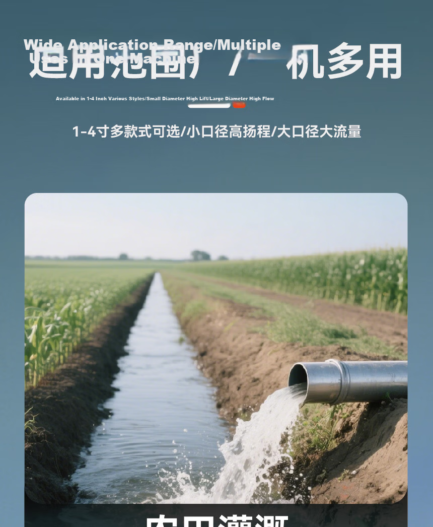 Lumei Submersible Pump 220V High Lift Large Flow Water Pump for Home Rural Farmland Irrigation Sewage and Clean Water Well Pump 10