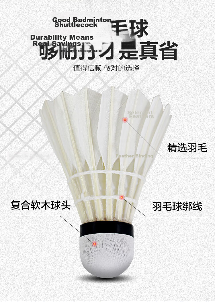 RSL Badminton Training and Competition Durable RSL7K No.77 Speed Feather Shuttlecocks 12pcs/Tube 2