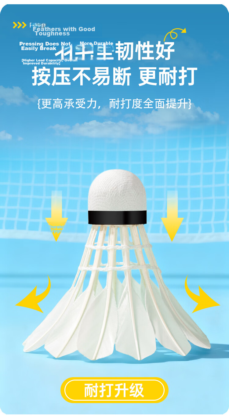 Peak Feather Badminton Shuttlecocks Stable Training Professional Match Durable Goose Feather 10-Pack High Cost-Performance Lingkong 6