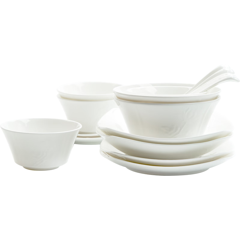 Magoront Ceramic Bone China Dinnerware Set White Embossed Magnolia 16-Piece 4-Person Gift Box