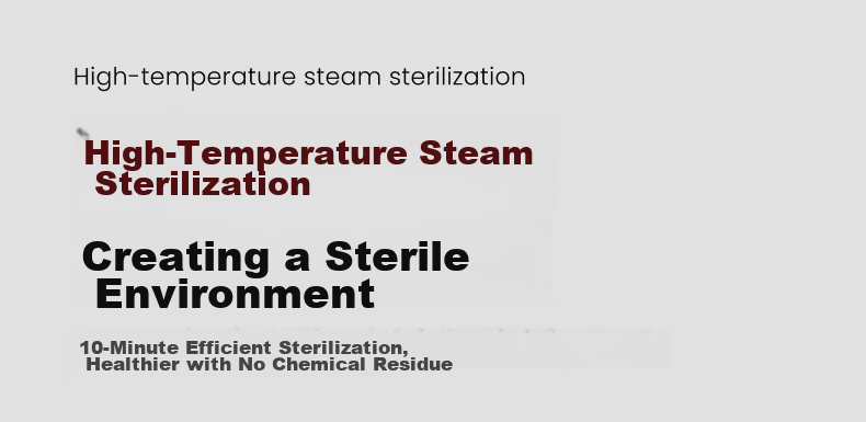 Xinbei Baby Bottle Washer and Sterilizer 2-in-1 Steam Sterilizer with Drying Function Model 8051 14