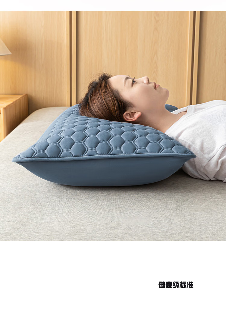 MUJI Class A Quilted Pillowcase with Pillow Core Isolation Layer, Household Anti-Oil and Dirt-Proof Pillowcase, 48x74cm Single Piece 4
