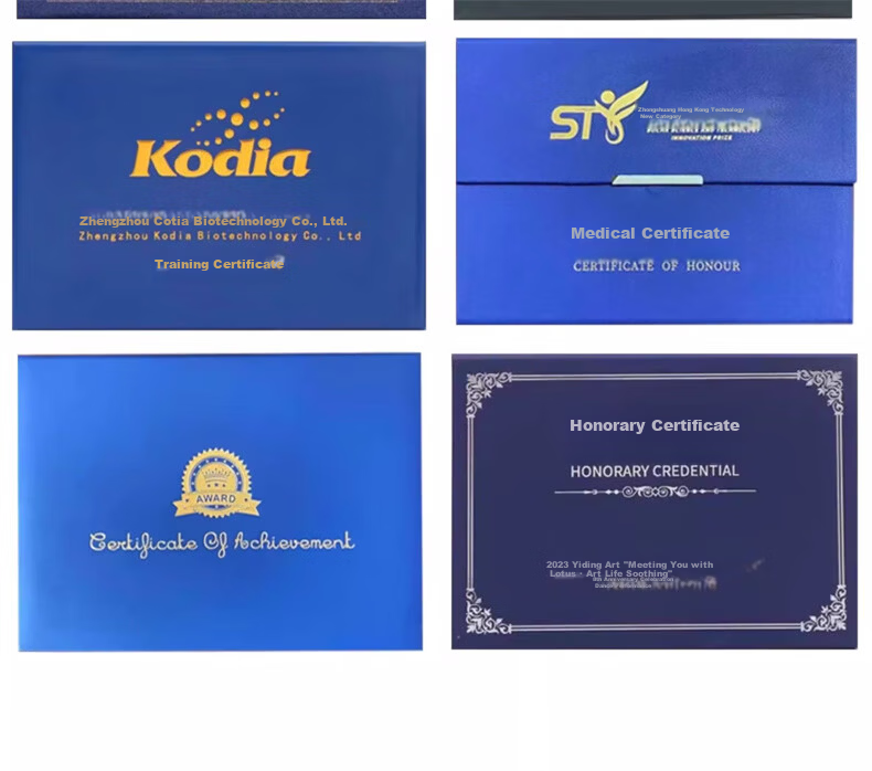 Tianshun A4 Graduation Certificate Inner Pages with Gold Foil, 120g Paper, Printable Training Inner Pages, Customizable with Free Printing Template, Graduation Certificate Inner Pages Large A4-20 Sheets 20