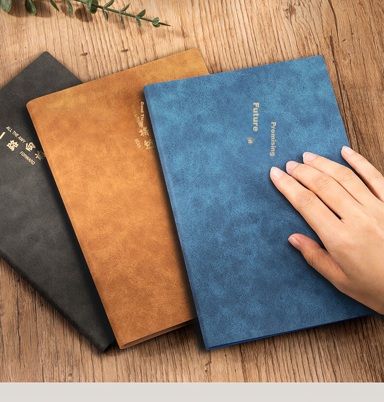 Deli Customizable Fashion Leather Notebook, Business Notepad, Sheepskin Journal, Meeting Record Book, A5 Size, 120 Sheets, Gray, Single Book Pack, 3340 5