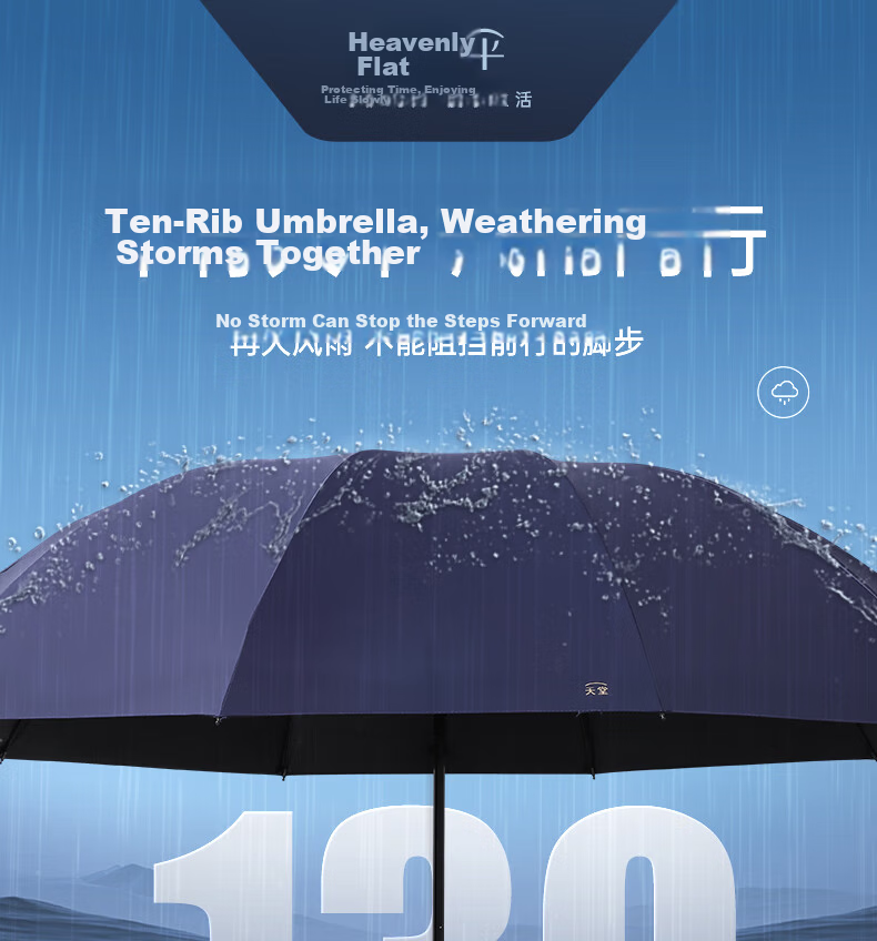 Paradise Umbrella Double Folding Umbrella 10-Rib Large Reinforced Black Coating Sunshade Obsidian Black 2