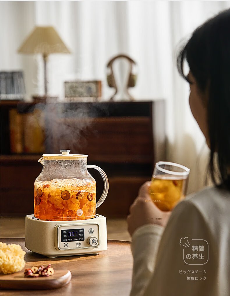 APIXINTL Anben Su 1.2L All-Glass Health Pot Household Electric Kettle Mini Tea Kettle Insulated Multifunctional Automatic Temperature Control Kettle with Tea Strainer for Office 10