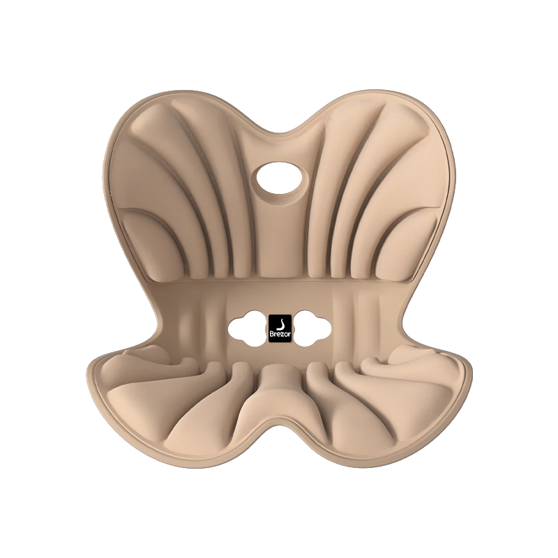 Beilizheng Lumbar Support Seat Cushion Ergonomic Office Chair Backrest for Prolonged Sitting
