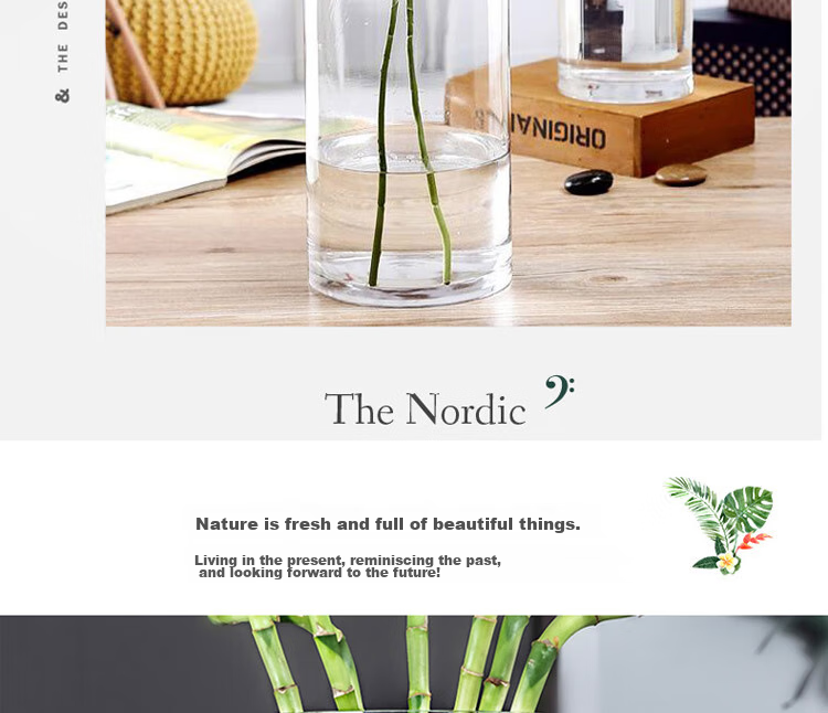 Shengshi Taibao Glass Vase Transparent Lucky Bamboo Hydroponic Container Large Straight Cylinder Vase for Living Room Table Decoration Model 1020 7