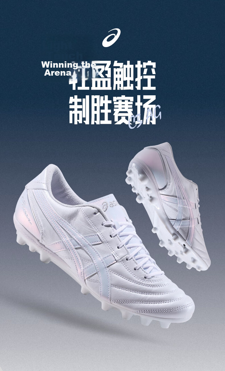Asics Soccer Cleats, Kangaroo Leather, AG Studs, Men's Shoes C3 1103A121-400, Size 43.5 1