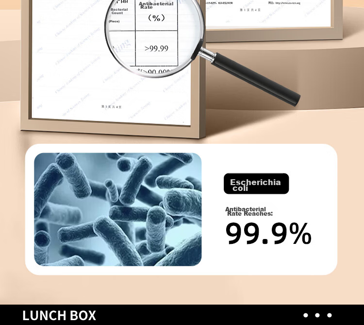 Ymer Double-Layer Insulated Lunch Box with Extended Handle, Stainless Steel Soup Container and Bowl for Office Workers and Students, New Model 1