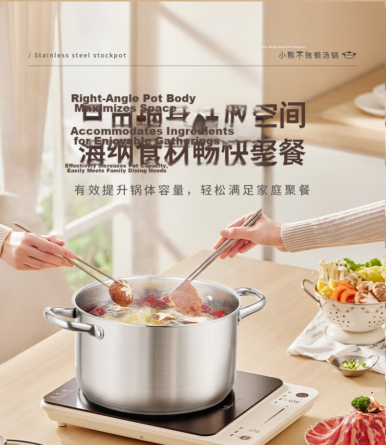 Bear 304 Stainless Steel Soup Pot Household Stew and Steam Pot 22cm Porridge Cooking Pot Compatible with Gas Stoves JG056-P02 6