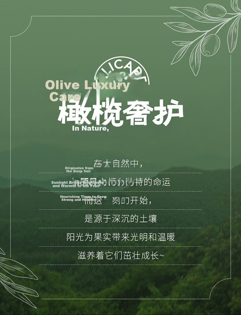 Jiaying [No Melamine Detected] Olive Luxury Pull-Up Diapers, Size 3XL, 56 Pieces (16-18KG), Disposable Training Pants 7