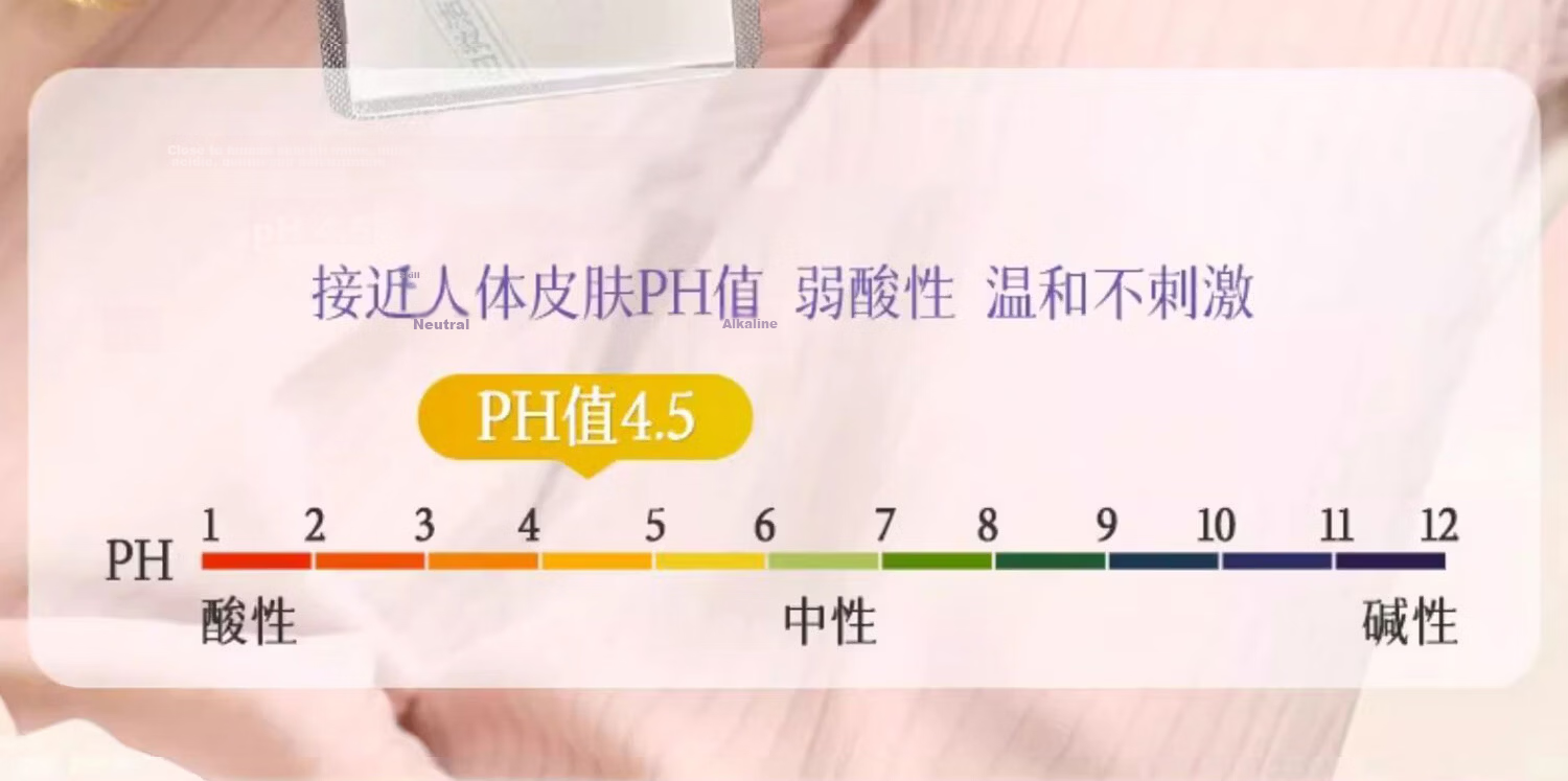 Fuyan Jie Snow Lotus Herbal Intimate Care Pads Portable Travel Sanitary Napkin Care 2 Pads * 3 Packs 17