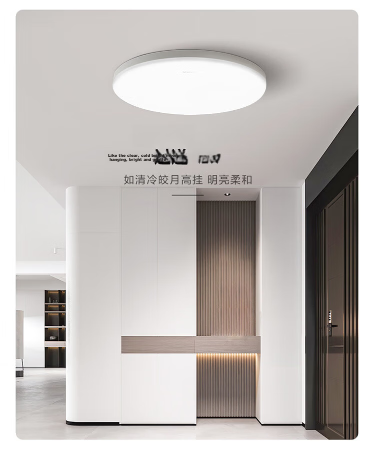 BULL Ceiling Light IP50 Dustproof and Insect-Proof Bedroom Balcony Corridor Light MX-A018C-AS All White 18W 6