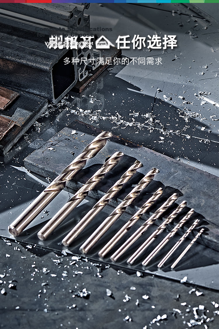 BOSCH High-Speed Metal Twist Drill Bit 4.0mm HSS-G (2-Pack) 1