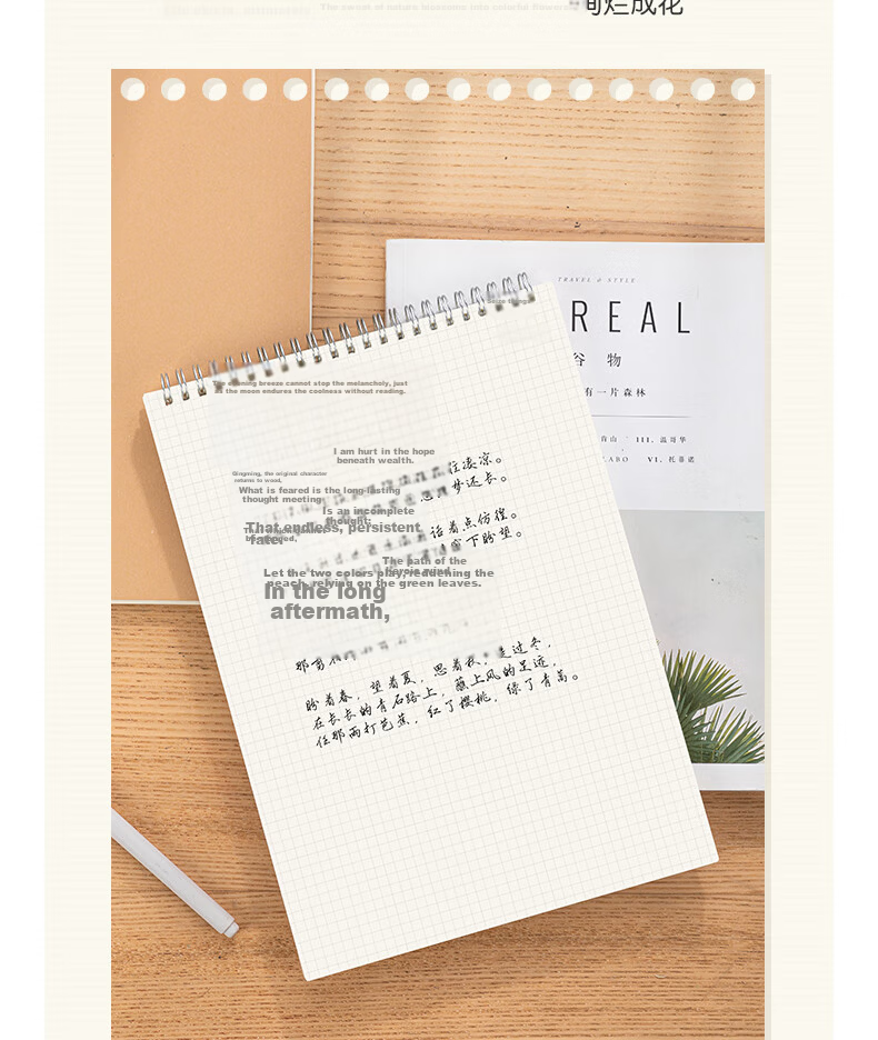 Deli A4 Student Spiral Notebook 80 Sheets 2-Pack Grid Paper LPA480-02 12