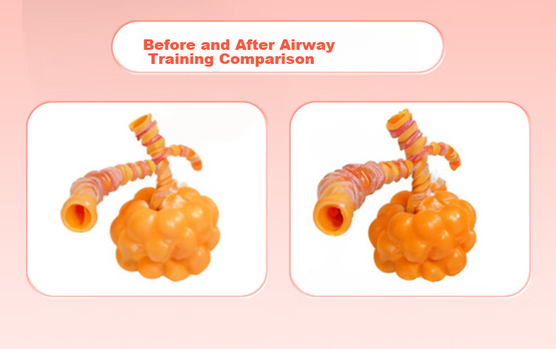 BOSHUJIAN Breathing Dumbbell Diaphragm Trainer Lung Capacity Abdominal Muscle Vest Pelvic Floor Slimming Face Exercise 6