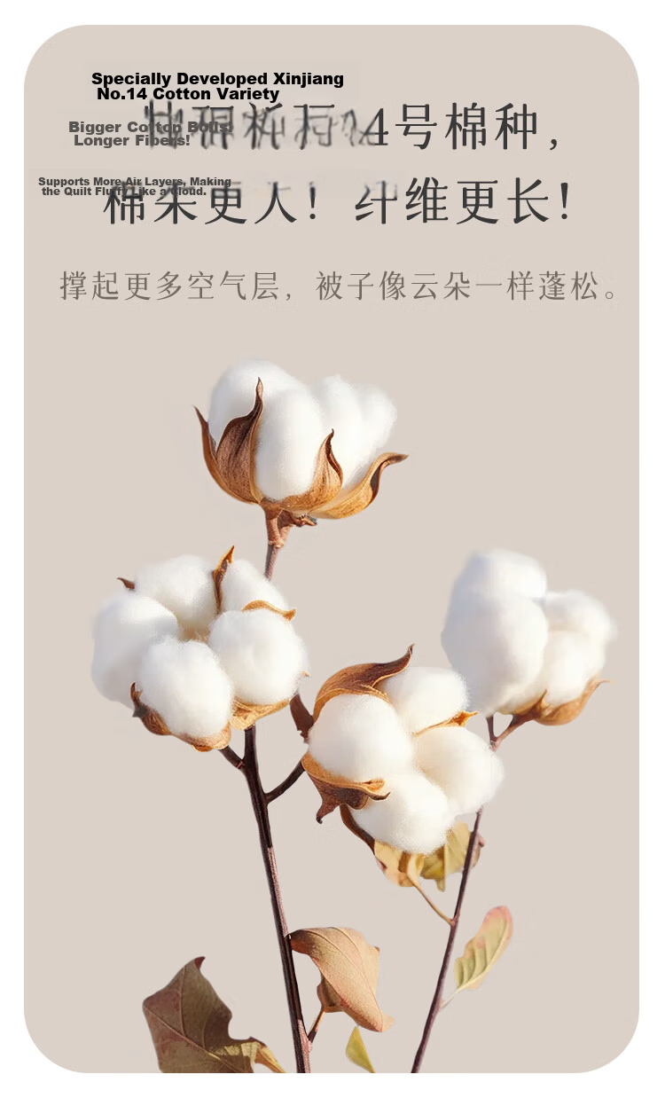 MUJI Origin Series Cotton Quilt 100% Xinjiang Cotton All Cotton Spring and Autumn Quilt Core 6 Jin 200x230cm 4