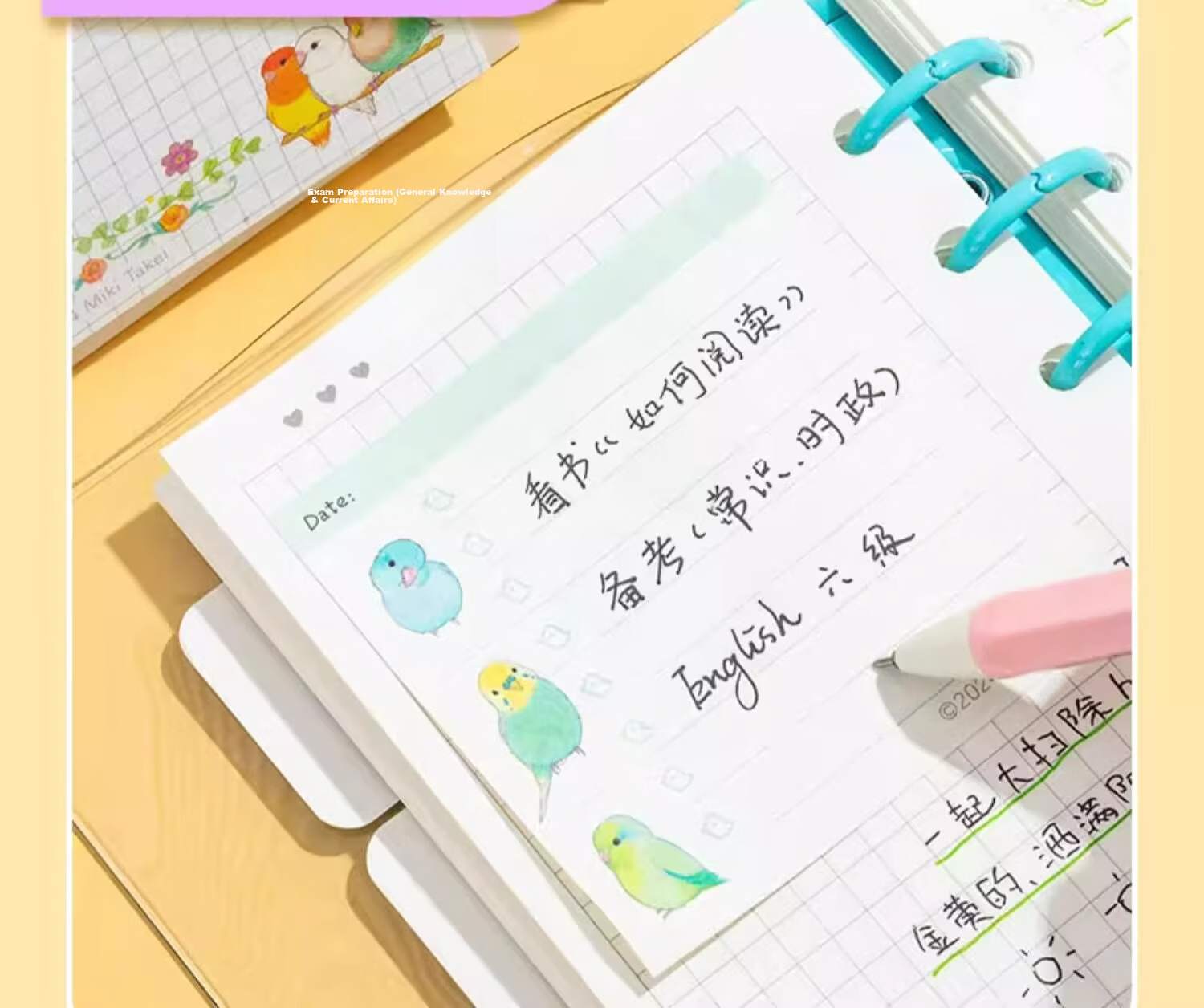 MASMARCU Morning Light Stationery Notebook Summary Sticky Notes Combination, Strong Adhesive Labels, Memo Pads, Markers, Bookmarks, Smart Learning 1 Pack Random YS0339 Exam Essential 10
