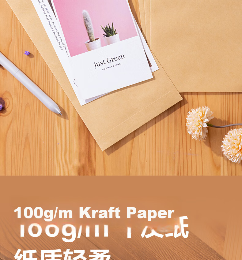 Deli No.5 Kraft Paper Document Bag 220*110mm Invoice Bag Postal Standard Envelope Salary Bag 20pcs 3423A 2