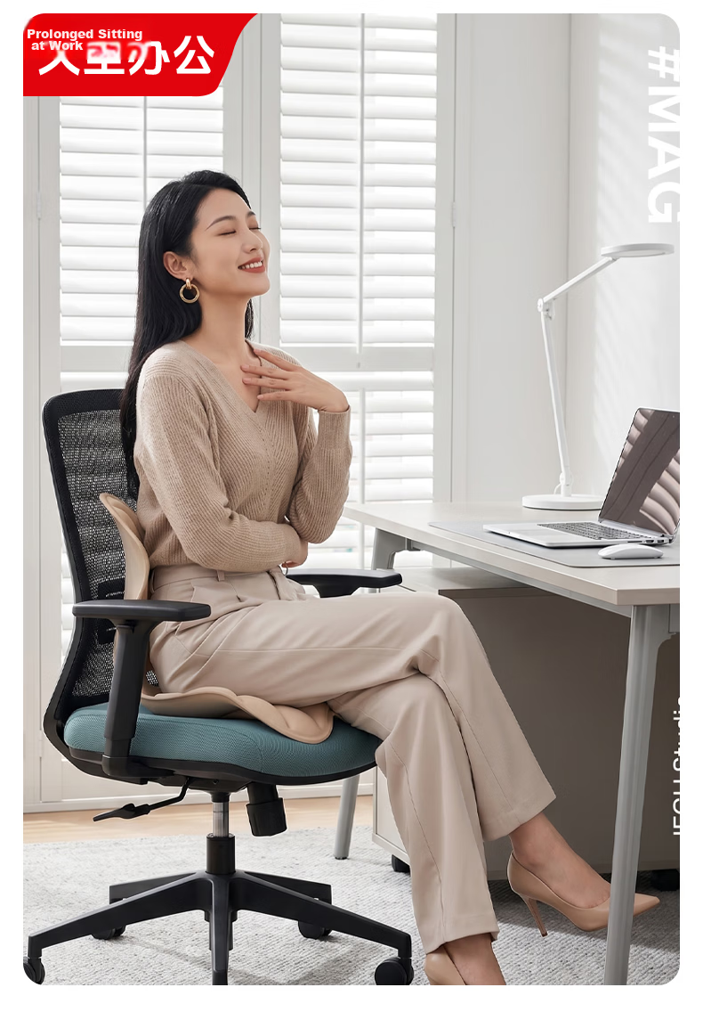 Beilizheng Lumbar Support Cushion, Back Pillow for Long Sitting, Ergonomic Office Chair, Integrated Back Support 8