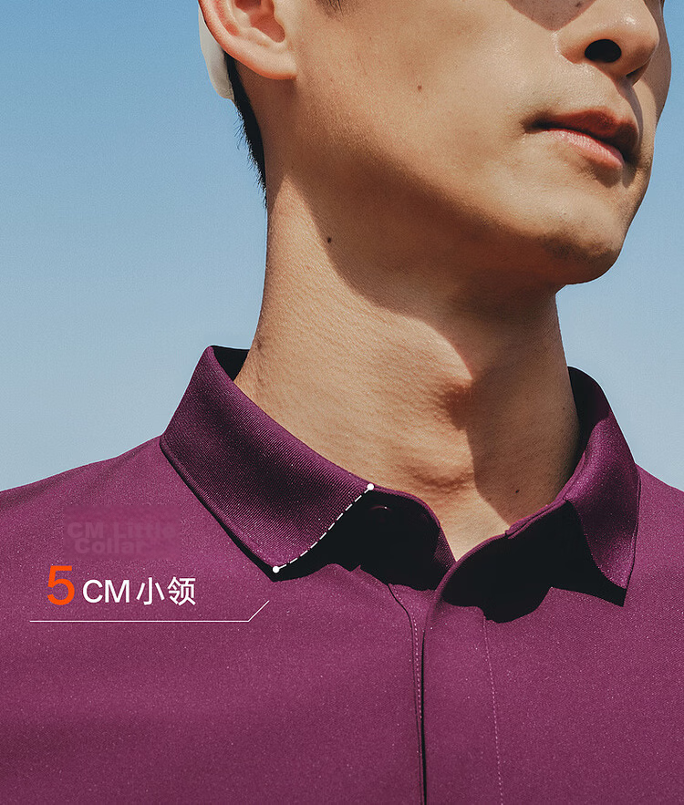 Biyinlefen [Ding Yuxi Same Style Small Collar T] 2026 Summer New Men's Short Sleeve Polo Shirt, Resistant to Deformation and Fading 6