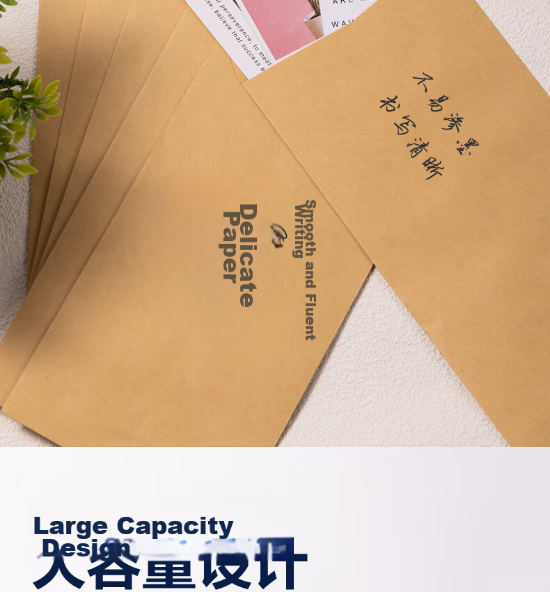 Deli No.5 Kraft Paper Document Bag 220*110mm Invoice Bag Postal Standard Envelope Salary Bag 20pcs 3423A 5
