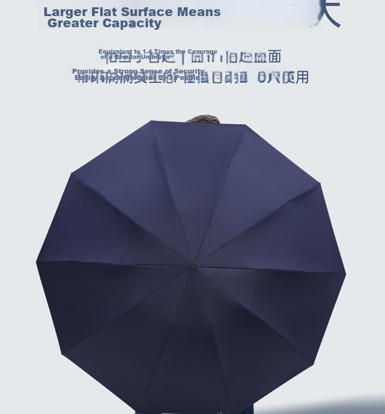 Paradise Umbrella Double Folding Umbrella 10-Rib Large Reinforced Black Coating Sunshade Obsidian Black 5