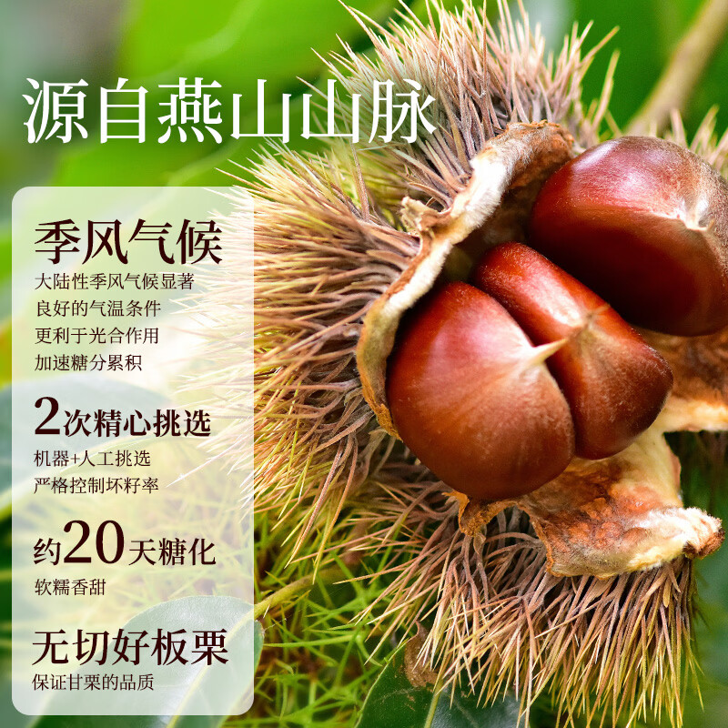 良品铺子 即食甘栗仁80g 板栗休闲零食干果免剥栗子孕妇儿童零食小吃