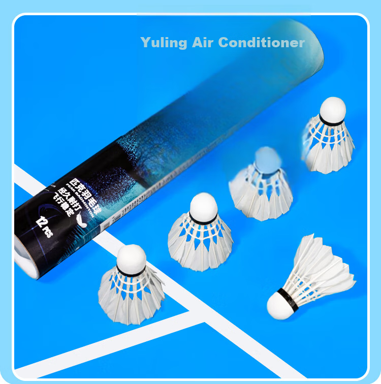 Peak Feather Badminton Shuttlecocks Stable Training Professional Match Durable Goose Feather 10-Pack High Cost-Performance Lingkong 11