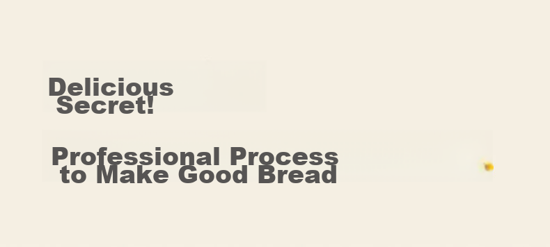Donlim Fully Automatic Sugar-Free Bread Maker, Large Capacity, Intelligent Dual-Sprinkle, High-Power, Programmable, Multifunctional Bread And Pastry Machine, Ice Cream Maker DL-1352 Gray 12